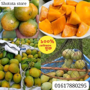 ৪০ কেজি ১২০ টাকা করে ৪৮০০ টাকা হিমসাগর আম+ফ্রী ডেলিভারি